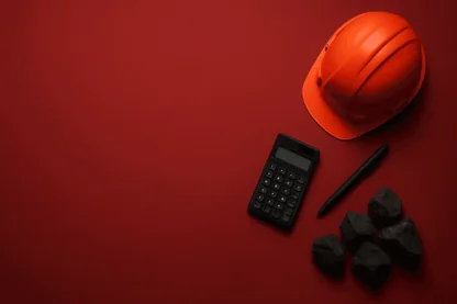 Previous Article Image