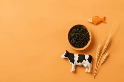 Sea Forest Surges with 236% Revenue Growth and Expands Global Reach