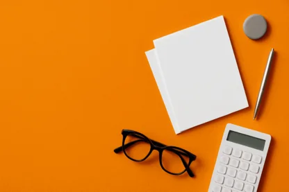 Previous Article Image