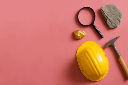 Previous Article Image