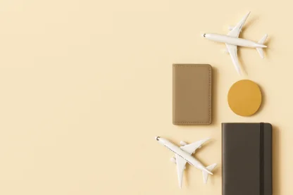 Previous Article Image