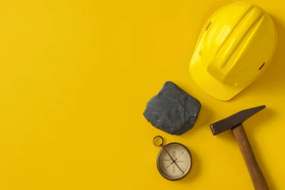 Previous Article Image