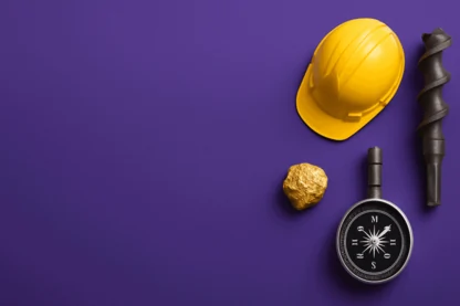 Previous Article Image