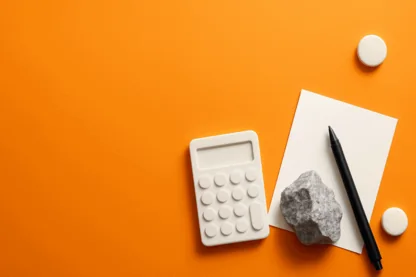 Previous Article Image