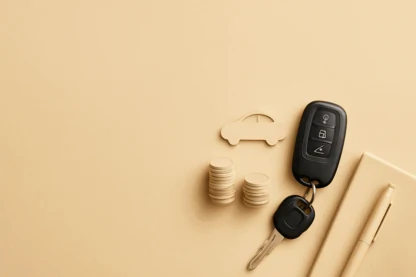 Previous Article Image