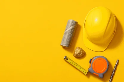 Previous Article Image