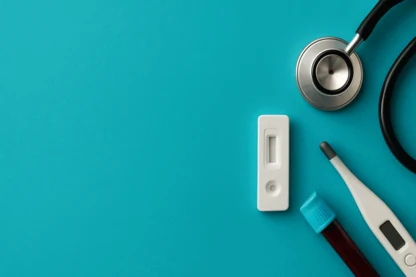 Previous Article Image