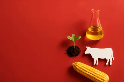 Previous Article Image