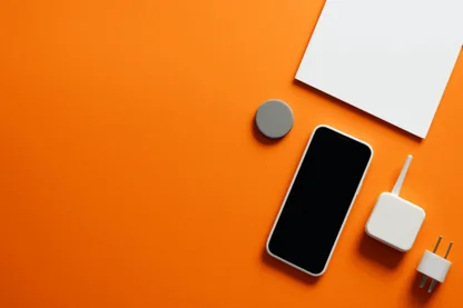 Previous Article Image