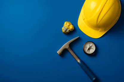 Previous Article Image