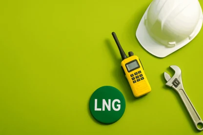 Previous Article Image