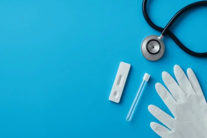 Previous Article Image