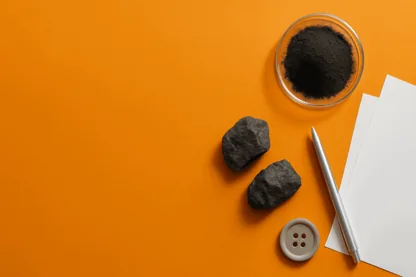 Previous Article Image