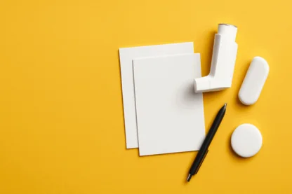 Previous Article Image