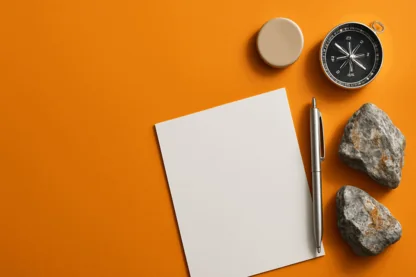 Previous Article Image