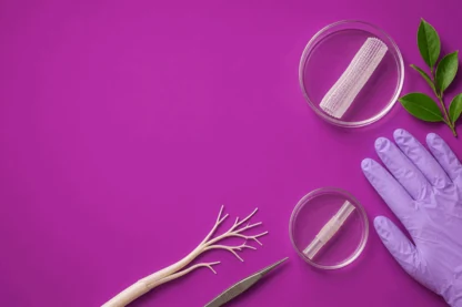 Previous Article Image