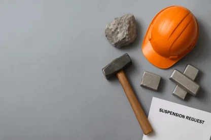 Previous Article Image