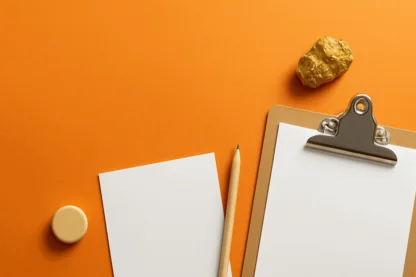 Previous Article Image