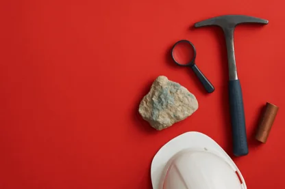 Previous Article Image