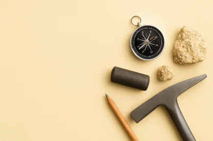 Previous Article Image