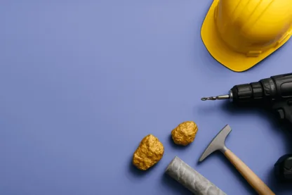 Previous Article Image