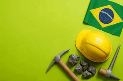 Previous Article Image