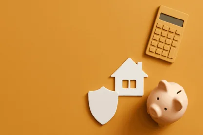 Previous Article Image