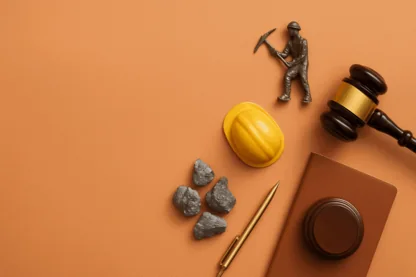 Previous Article Image