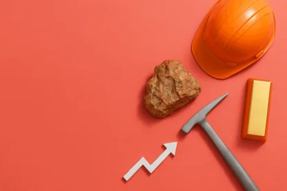 Previous Article Image