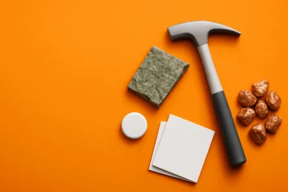 Previous Article Image