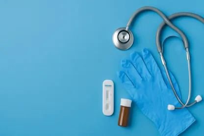 Previous Article Image