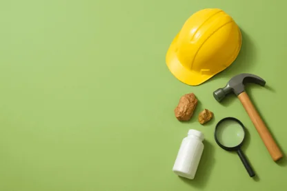 Previous Article Image