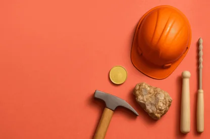 Previous Article Image