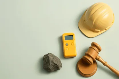 Previous Article Image