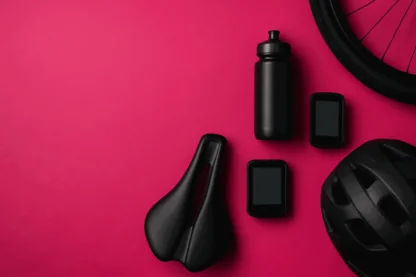 Previous Article Image