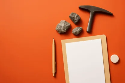 Previous Article Image