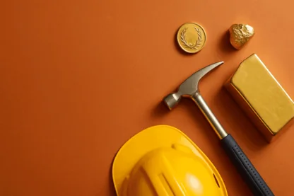 Previous Article Image