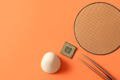 Previous Article Image