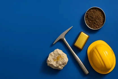 Previous Article Image