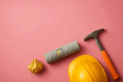 Previous Article Image