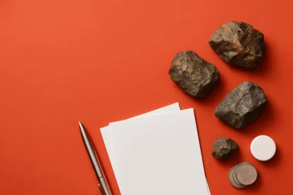 Previous Article Image