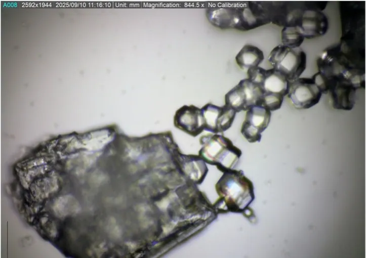 Figure 1.2 Crystals of high-purity Sulphate of Potash (K SO ) produced by ECU’s direct membrane crystallisation