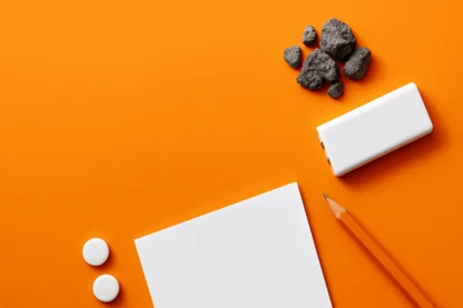 Previous Article Image