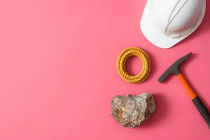 Previous Article Image