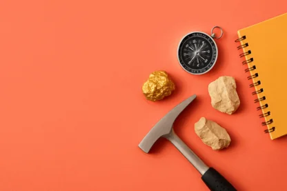 Previous Article Image