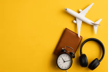 Previous Article Image