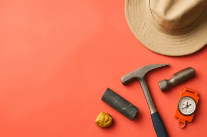 Previous Article Image