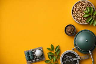 Delorean lines up $20m Westpac financing for Horsley Park bioenergy project