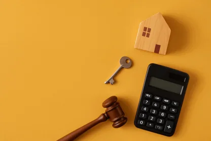 Previous Article Image