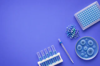 Syntara Secures A$10 Million to Fuel Clinical Trials After FDA Nod